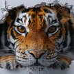 Wer kontrolliert die DRV?: Warum eine Rechtsaufsicht ein zahnloser Tiger ist