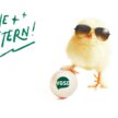 Wir wünschen ... Frohe Ostern!
