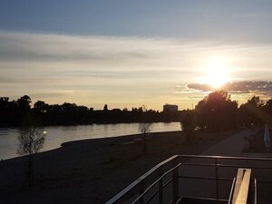 Ausblick auf den Rhein