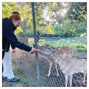 Informativ – und tierisch war das Treffen des VGSD München im Hirschgarten! 