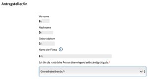 Zunächst kannst du den Antrag nur als Einzelunternehmer, also als natürliche Person stellen. Hier wirst du danach gefragt, ob du überwiegend gewerblich oder freiberuflich selbstständig tätig bist. Dies hat auf Anspruch und Höhe der Förderung grundsätzlich keinen Einfluss. Deine Angabe sollte aber mit den beim Finanzamt bekannten Daten übereinstimmen, da sie möglicherweise abgeglichen wird.