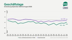 Geschäftslage von Solo- und Kleinstunternehmer/innen versus Gesamtwirtschaft