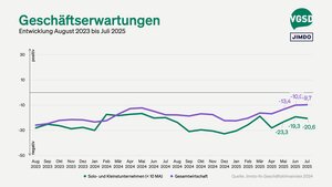 Geschäftserwartungen von Solo- und Kleinstunternehmer/innen versus Gesamtwirtschaft