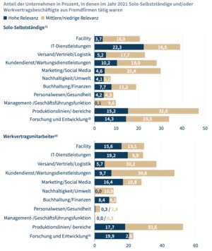 Einsatzbereiche von Solo-Selbstständigen und Werkvertragsmitarbeitern. Beim Vergleich bitte den unterschiedlichen Maßstab beachten!