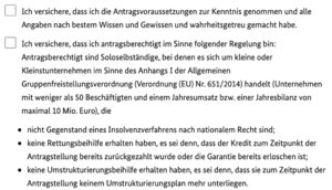 Hier erklärst du nochmals, dass du die Antragsvoraussetzungen genau gelesen hast, sie erfüllst und das Formular wahrheitsgemäß ausgefüllt hast.
Die Aufzählung wird auf den folgenden Seiten fortgesetzt.