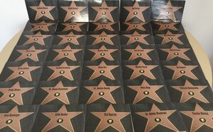 Keine Weihnachtsbäckerei, sondern die Dankes-Karten, aus denen unser Walk of Fame besteht