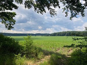 Natur so weit das Auge reicht.