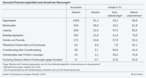Tabelle 1 aus dem Aufsatz "Finanzierungsquellen von Soloselbständigen und Kleinstunternehmen Ergebnisse einer ifo-Befragung" von Katrin Demmelhuber"