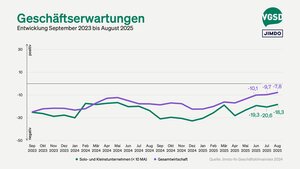Geschäftserwartungen von Solo- und Kleinstunternehmer/innen versus Gesamtwirtschaft