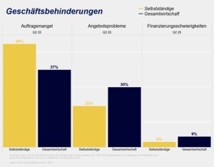 Im Vergleich zur Gesamtwirtschaft sind es bei Selbstständigen weniger angebotsseitige Probleme (z.B. Mitarbeitermangel) oder Finanzierungsprobleme, die das Geschäft behindern, sondern vor allem Auftragsmangel.