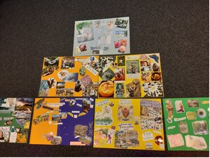Was motiviert dich? Wo soll es für dich beruflich hingehen? Das Ergebnis dieser Fragen sind diese bunten und kreativen Visionboards! 