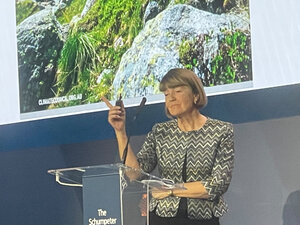 Der Klimawandel bringt Herausforderungen für Unternehmen, aber auch Chancen: Die Nobelpreisträgerin und Klimaforscherin Lučka Kajfež Bogataj von der Universität Ljubljana bei ihrem Vortrag auf der SME Assembly 2021 der Europäischen Union.