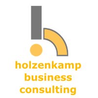 holzenkamp business consulting