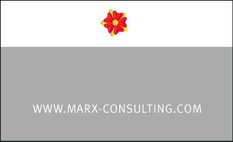 Marx Consulting