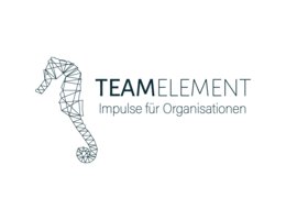 TEAMELEMENT