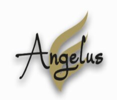 Angelus Management Beratung und Service KG