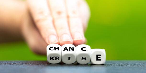 Innerhalb einer halben Stunde ausgebucht: Online-Workshops für VGSD-Vereinsmitglieder zu den Herausforderungen der "Krise als New Normal"