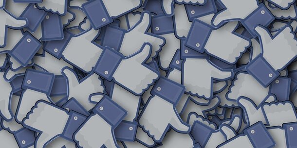 11.000 User unterstützen jetzt die Facebook-Seite des VGSD – danke dafür!