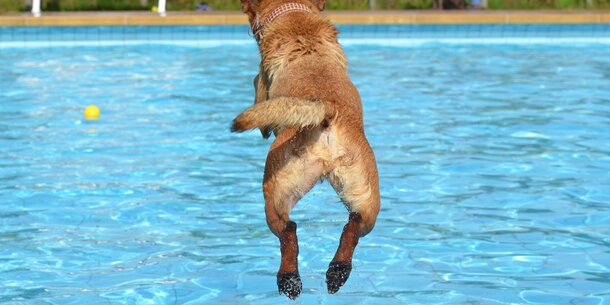Pools: Jetzt auch noch Versicherungsmakler rentenversicherungspflichtig!