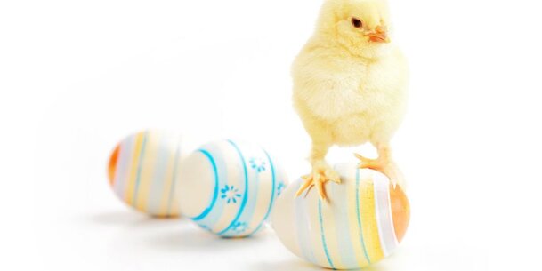 Wir wünschen dir...: Frohe Ostern!