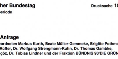 Kleiner VGSD-Demokratielexikon: Was ist eine „Kleine Anfrage“?