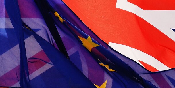 Brexit: Auswirkungen auf VGSD-Dachverband EFIP? – Treffen in Brüssel