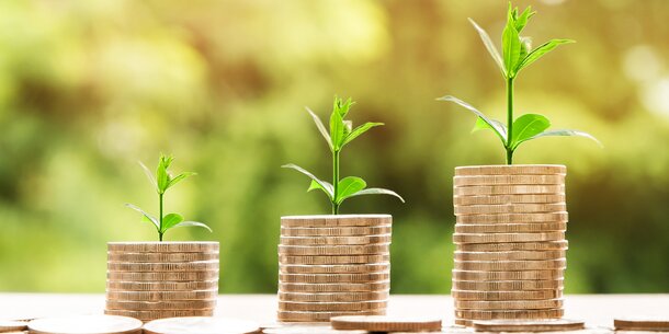 0,5 Prozent des Sozialprodukts als Kredit aufnehmen und anlegen: Ergäbe langfristig 1.270 Euro Zusatzrente pro Jahr für jeden Einwohner