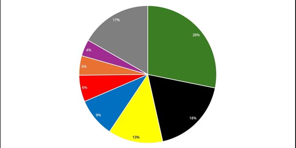 Europawahl und erste Ergebnisse des Selbstständigen-Reports 2024: Grüne lassen ihr Potential bei Solo-Selbstständigen ungenutzt
