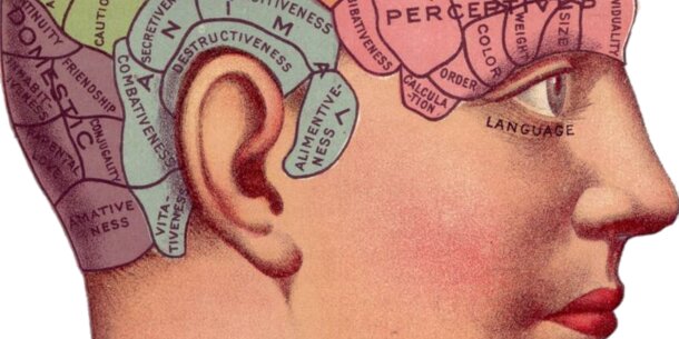 Königsweg vieler Hochbegabter führt in die Selbstständigkeit