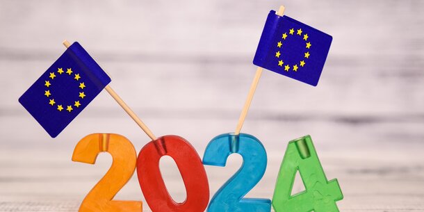 Online-Umfrage zur Europawahl 2024: Sag der FDP deine Meinung!