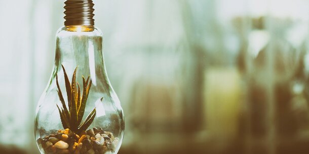 Wie können wir als Selbstständige – und als VGSD – die Umwelt besser schützen?