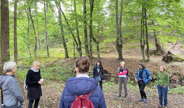 Wanderung des VGSD Berlin–Brandenburg: Durchatmen und dem Alltag entkommen
