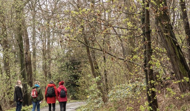 Krokusse und Narzissen trotz ungemütlichem Wetter: Unsere Wanderung im März