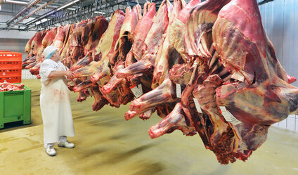Spezialgesetz zielt auf Werkverträge in der Fleischbranche