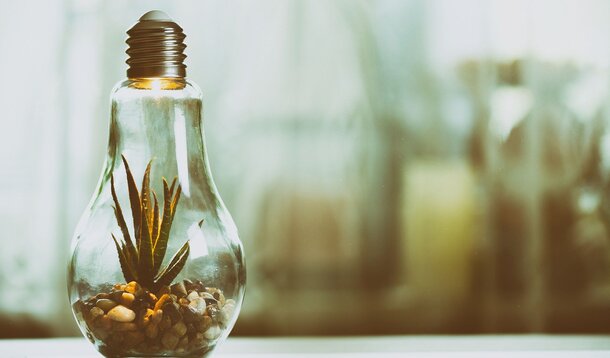 Wie können wir als Selbstständige – und als VGSD – die Umwelt besser schützen?