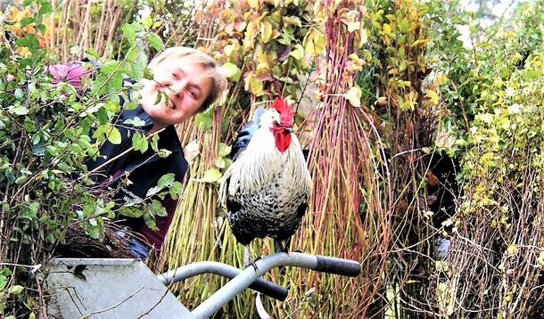 Warum bist du selbstständig? - Petra Fischer, Verkäuferin von Naturbaustoffen: "Ich bin stolz auf die eigenen Leistungen"