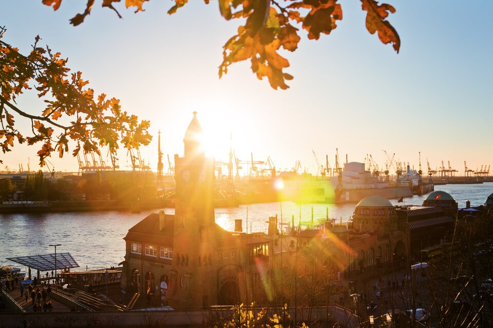 Der VGSD Hamburg startet voller Tatendrang in den Herbst!