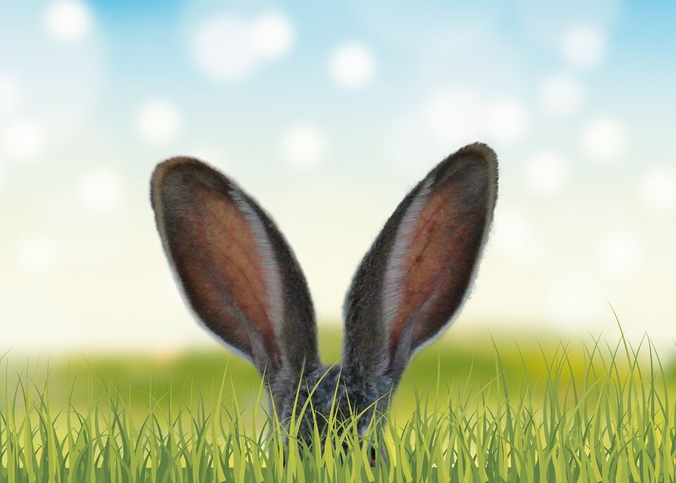 Wir hoffen, dass der Osterhase dir einen Besuch abstattet!